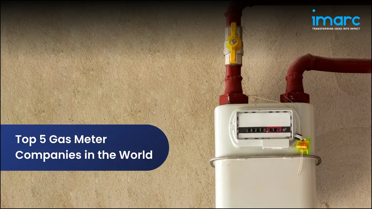 Top 5 Gas Meter Companies in the World 