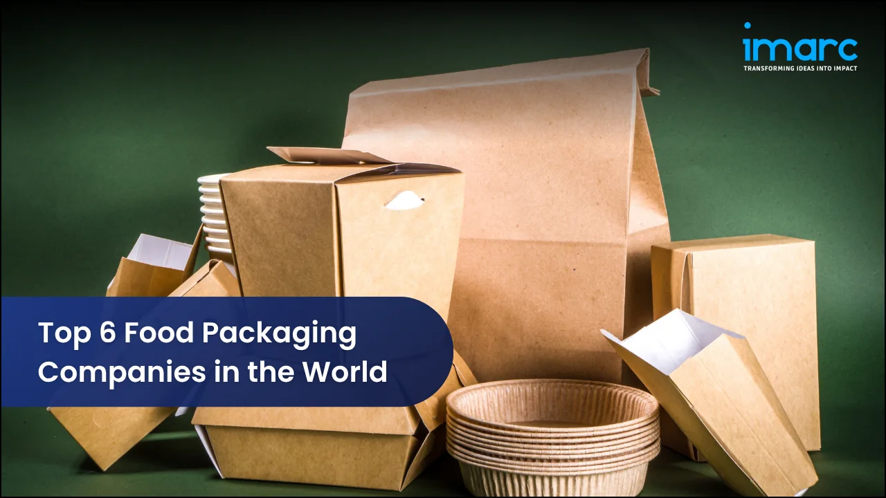 Top 6 Food Packaging Companies in the World