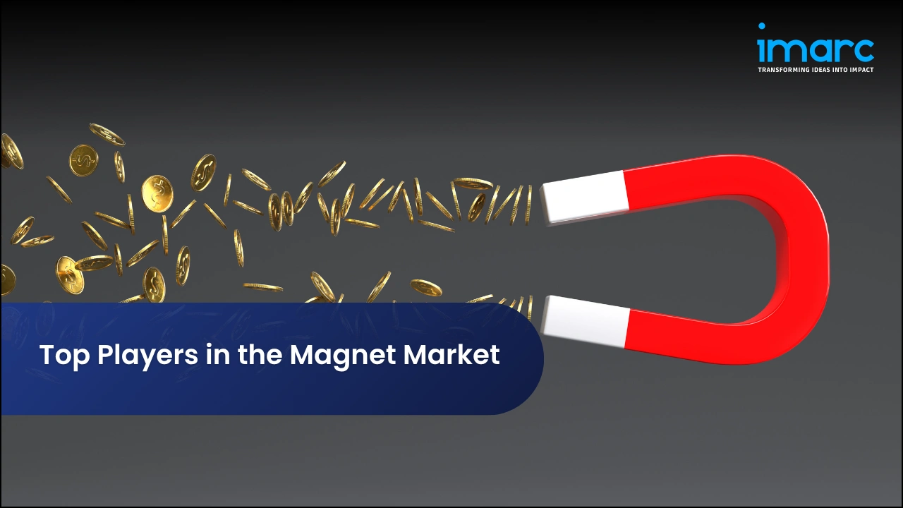 Top Players in the Magnet Market 