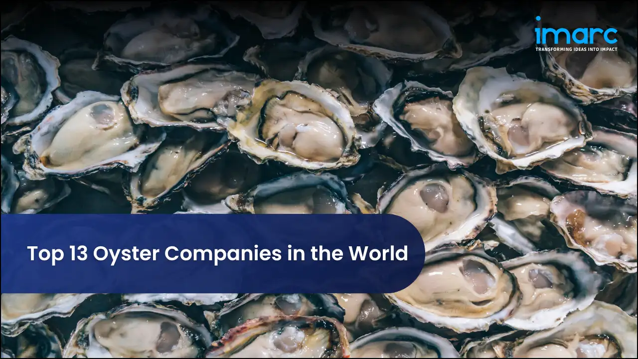 Top 13 Oyster Companies in the World