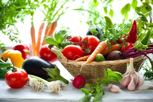 Top 13 Indian Organic Food Companies