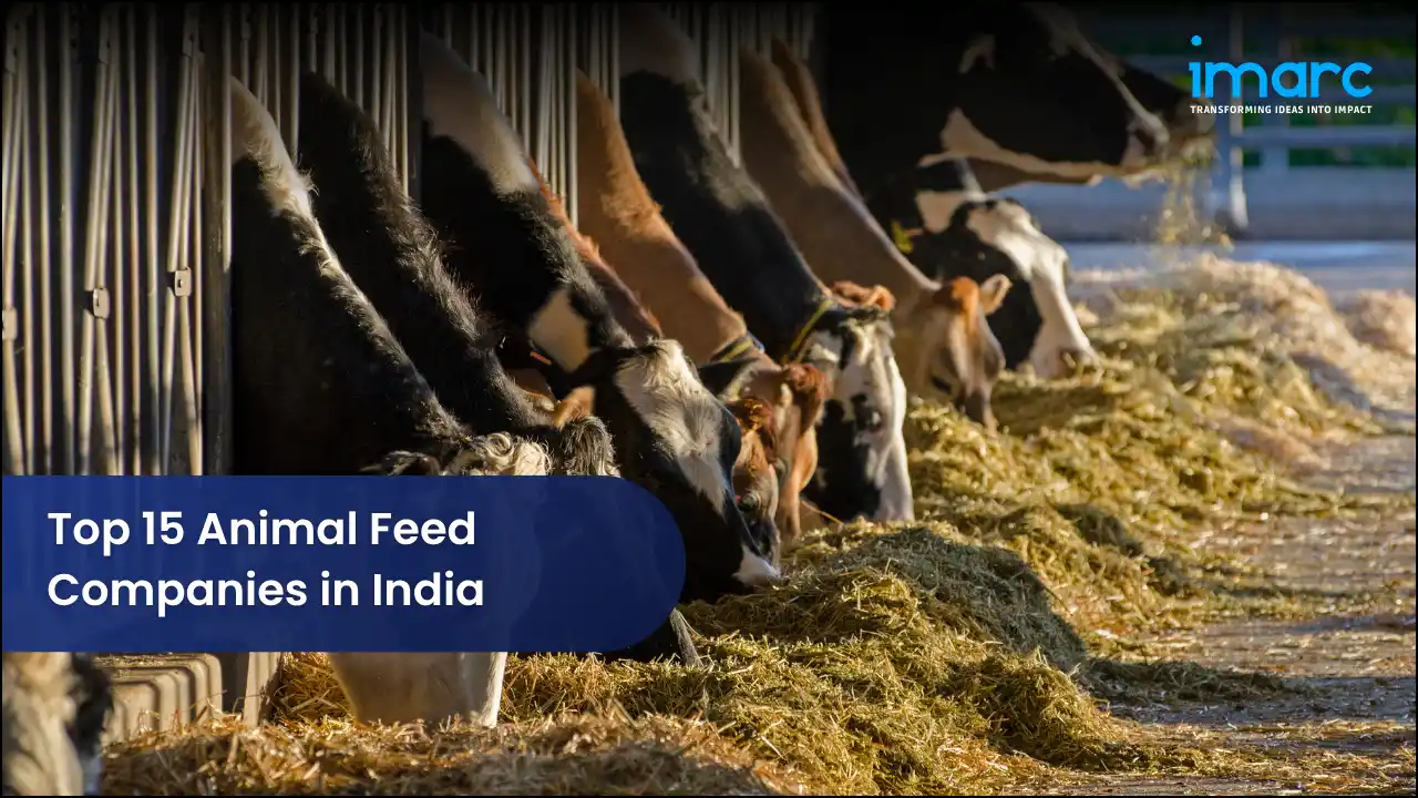 Top 15 Animal Feed Companies in India
