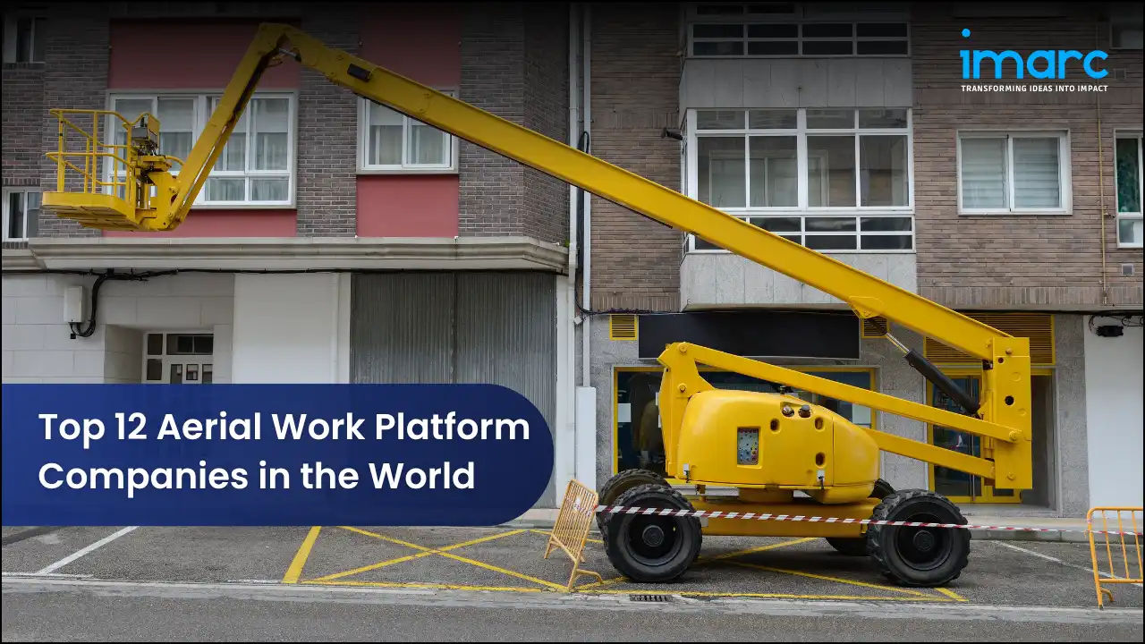Top 12 Aerial Work Platform Companies in the World