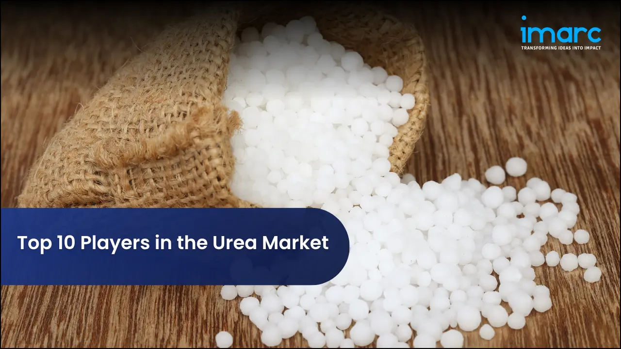Top 10 Players in the Urea Market