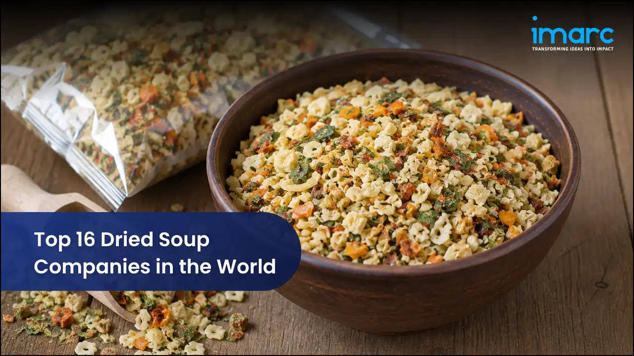 Top 16 Dried Soup Companies in the World
