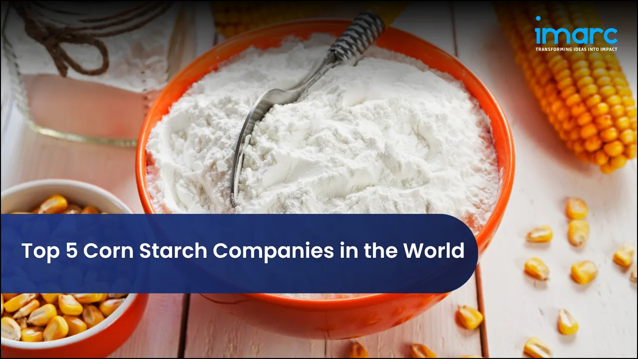 Top 5 Corn Starch Companies in the World