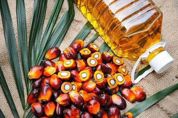 Top 15 Palm Oil Companies in the World