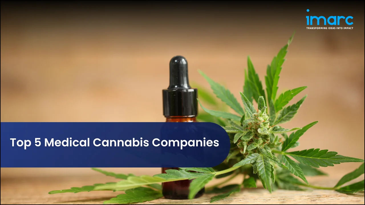 Top 5 Medical Cannabis Companies