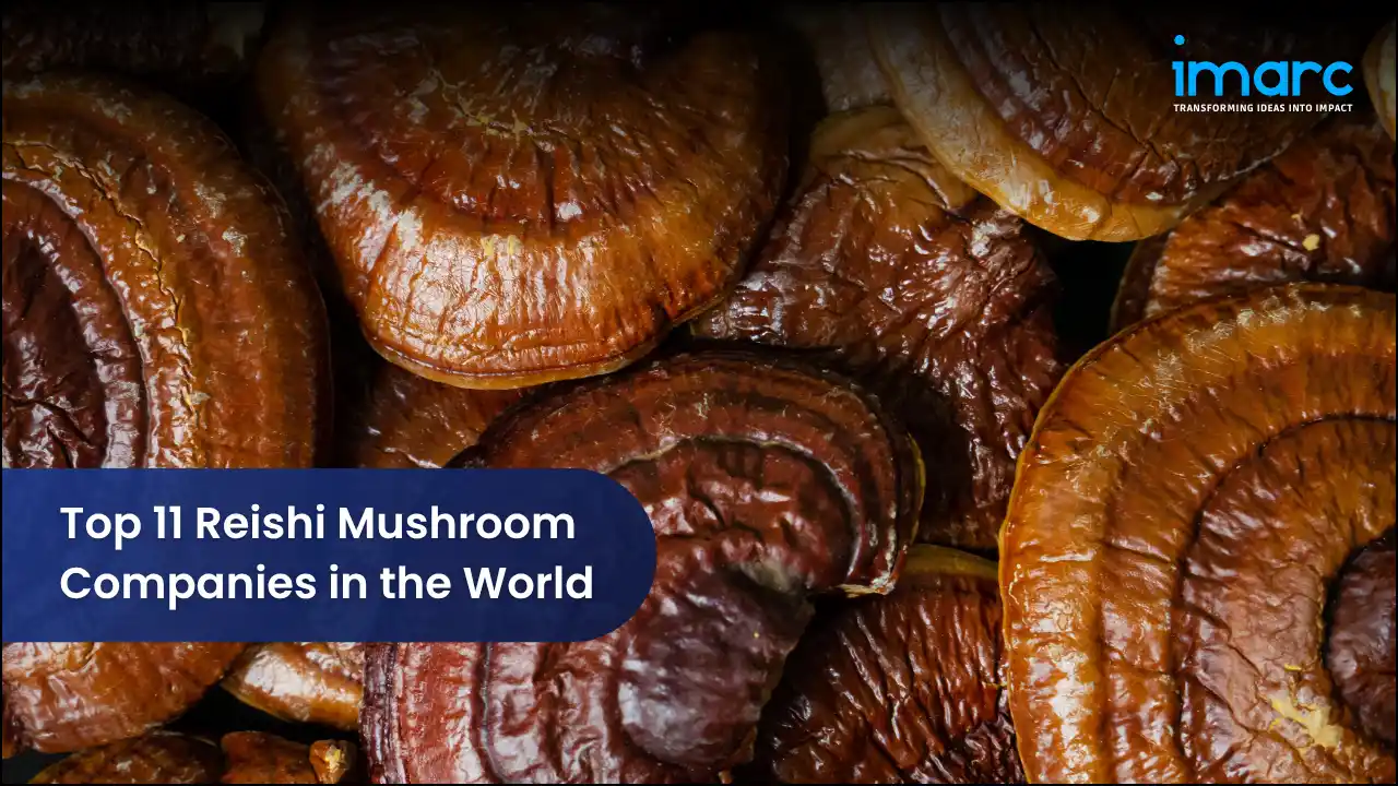 Top 11 Reishi Mushroom Companies in the World