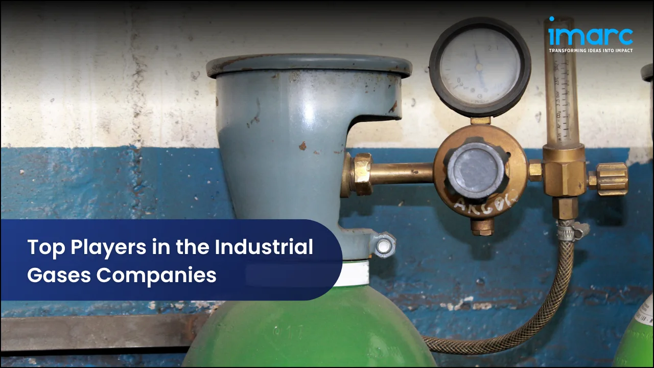 Top Players in the Industrial Gases Companies 