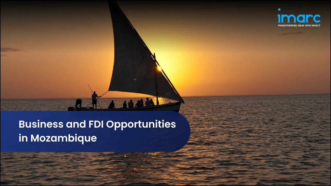 Business and FDI Opportunities in Mozambique