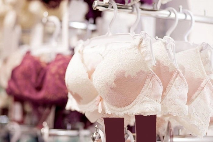 Top Companies in the Lingerie Market