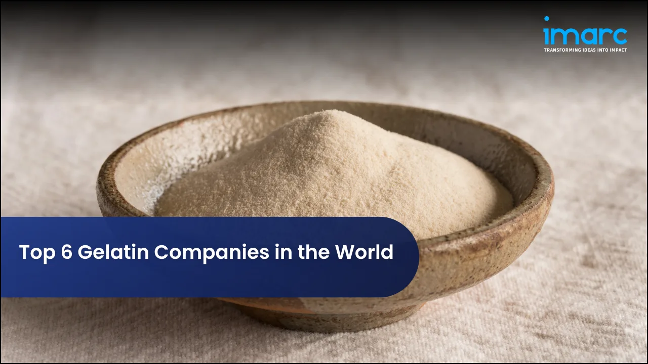 Top 6 Gelatin Companies in the World