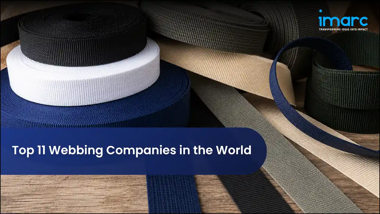Top 11 Webbing Companies in the World