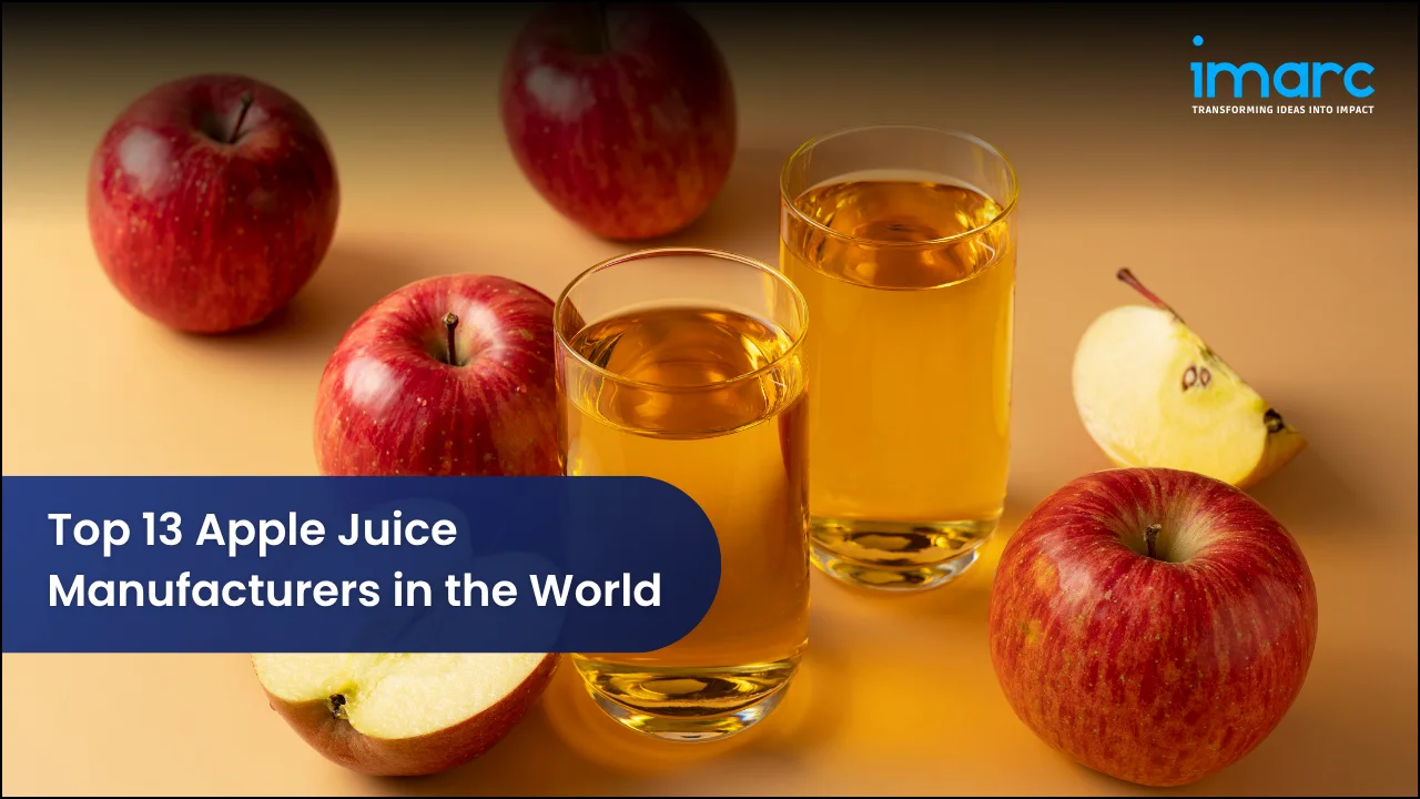 Top 13 Apple Juice Manufacturers in the World 