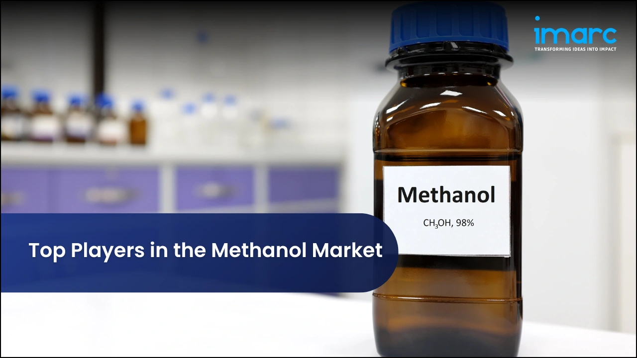 Top Players in the Methanol Market