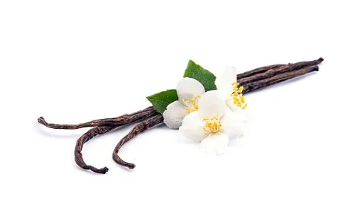 Top 5 Vanilla and Vanillin Companies in the World