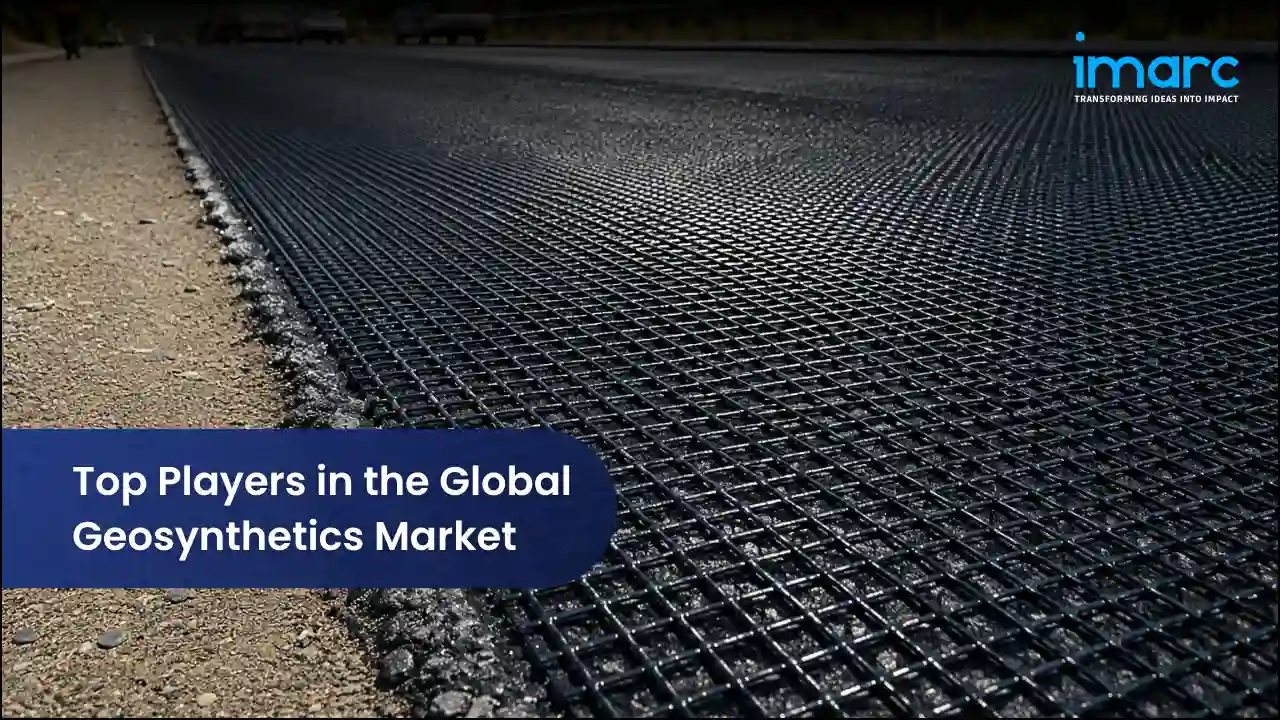 Top Players in the Global Geosynthetics Market
