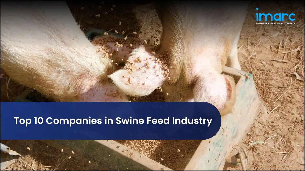 Top 10 Companies in Swine Feed Industry
