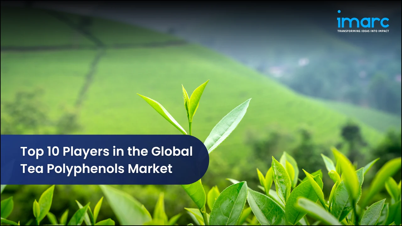 Top 10 Players in the Global Tea Polyphenols Market
