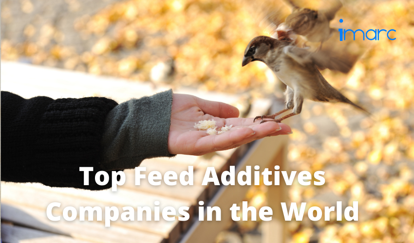 Top Feed Additives Companies in the World