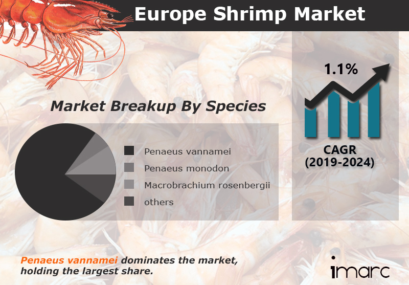 Europe Shrimp Market Research
