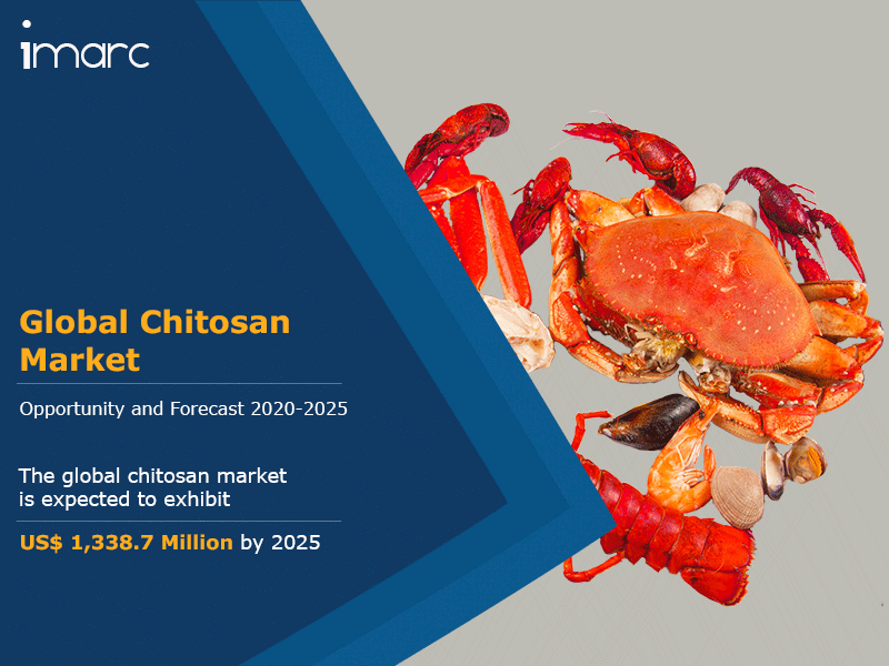 Global Chitosan Market