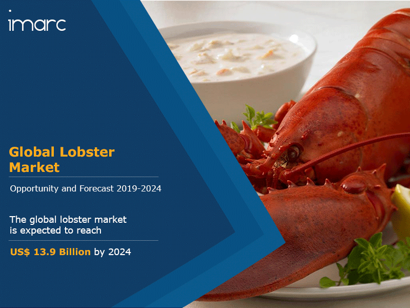 Lobster Market Report