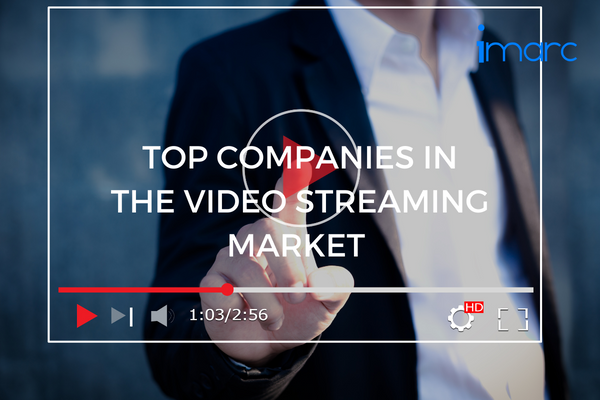 Top Companies in the Video Streaming Market 